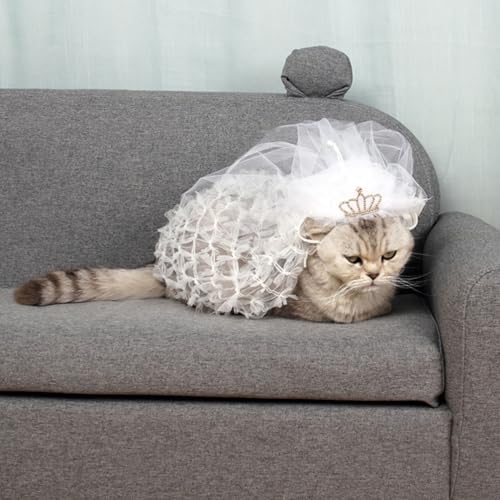 Vestido de dama para gatitos en encaje blanco con tiara miniatura de gala 3