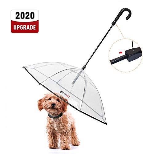 10 Best Umbrella For Dog Walking in 2023 (July update)