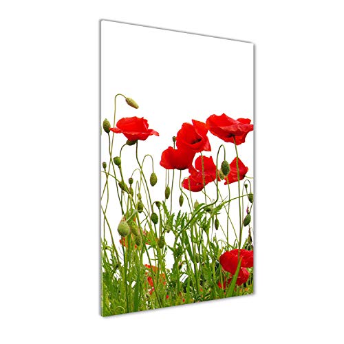 Tableau sur verre 60x120 cm panoramique avec fleurs de coquelicots rouges pour cuisine et salon