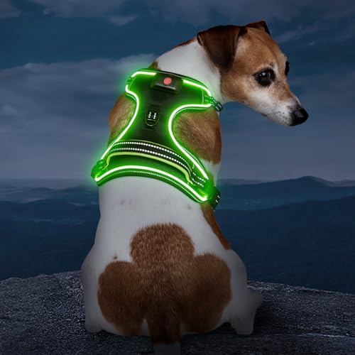 Image of Light Up Dog Harness, Rechargeable LED Dog Vest for Night Walking