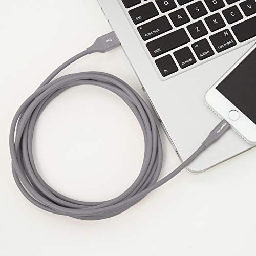 Image of AmazonBasics Apple Certified Lightning to USB Charge and Sync Tough Cable, 10 Feet (3 Meters) - Pack of 2 - Grey