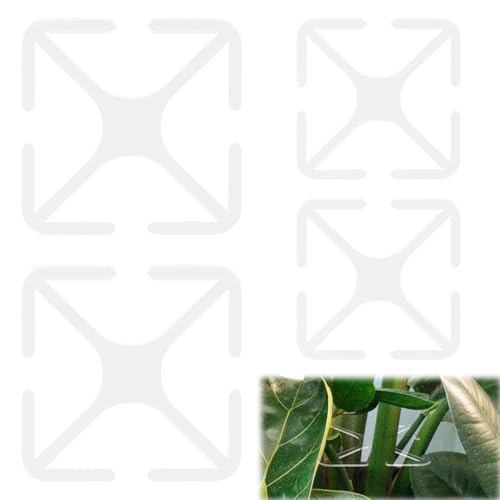 PEUTIER 4pcs Plant Stem Support, Acrylic Pothos Plant Climbers Flower Stem Holders 2 Sizes Square Plants Stem Rack Hook Reusable Plant Growth Accessories for Growing Plants Outdoor & Indoor Plant