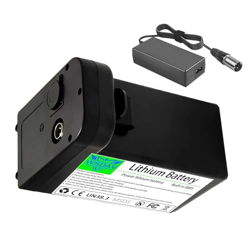 WSDAV Batería de Litio de 24 V para Silla de Ruedas eléctrica y Scooter de Movilidad, de 10 Ah a 19,2 Ah, para Motores de 0 a 500 W (Accesorios para sillas de Ruedas motorizadas).,24v12ah