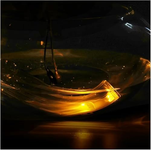 Intermitente de espejo retrovisor de coche luz de señal para giro VW Golf MK5 5