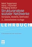 Strukturanalyse sozialer Netzwerke: Konzepte, Modelle, Methoden. (Studienskripten zur Soziologie)