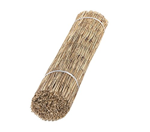 Dehner Schilfrohrmatte, Höhe ca. 1.0 m, Länge ca. 6 m, Natur
