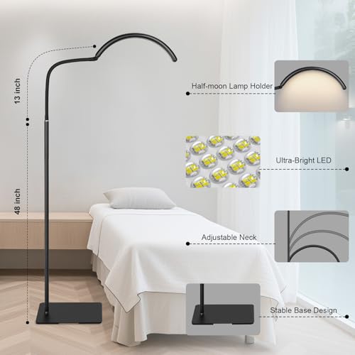 Image of Half Moon LED Floor Light - Professional Shadow-Free, Dimmable Lamp | for Lash Techs, Estheticians & Tattoo Artists | Eyelash Extensions, Nail Art, Home & Office (Charcoal Black)