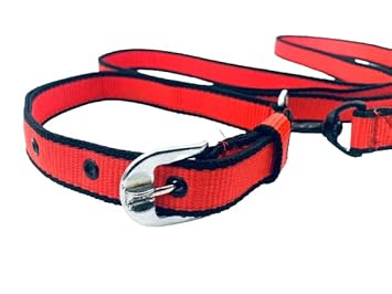 Eqous International Collar Belts and Leash Set for Small Dogs