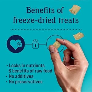 Stewart Freeze Dried Canine Treats, Rooster & Vegetable, Immunity Treats, Vitamin E, Grain Free, 4 Ounce Resealable Pouch, Made in USA