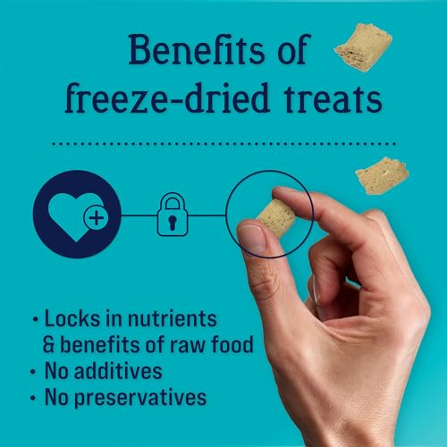 Stewart Freeze Dried Canine Treats, Rooster & Vegetable, Immunity Treats, Vitamin E, Grain Free, 4 Ounce Resealable Pouch, Made in USA Stewart Freeze Dried Canine Treats, Rooster & Vegetable, Immunity Treats, Vitamin E, Grain Free, 4 Ounce Resealable Pouch, Made in USA