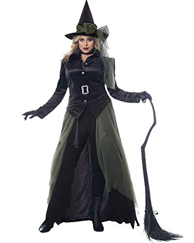 California Costumes Size Gothic Witch-Adult Plus Women Costume, Black/Green, 1X-Large