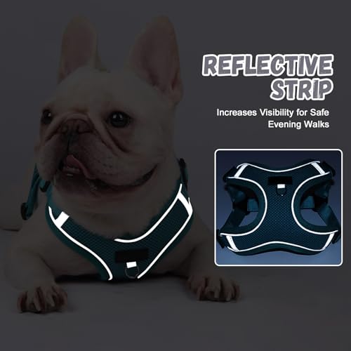 Dog Harness and Lead Set for Small and Medium Dogs, Reflective No Pull Dog Harness with Comfort Padding, Breathable Adjustable Puppy Vest Harness for Pet Walking, Hiking, Training (Beige, S) - Image 3