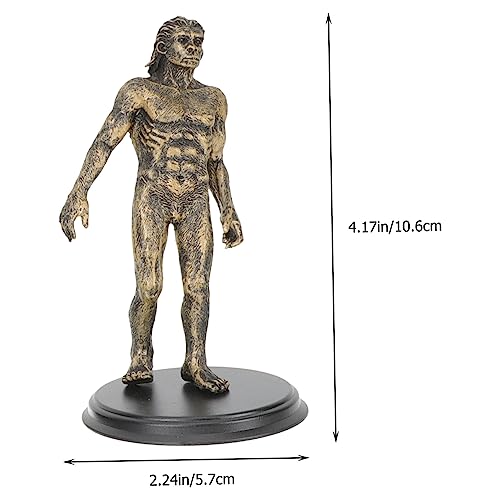 ORFOFE 1 Conjunto Modelo Da Evolução Do Macaco Brinquedos Infantis Decoração De Casa Auxiliares De E
