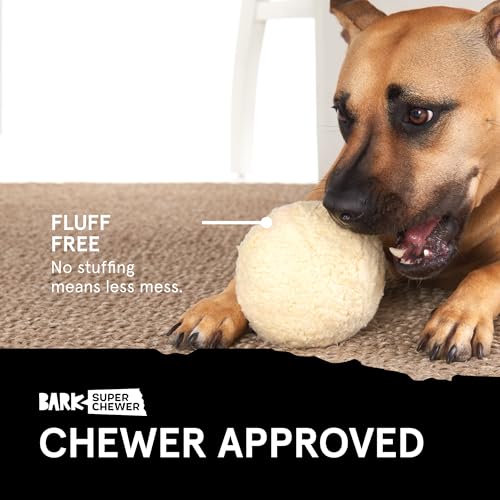 Barkbox Brinquedos e mastigadores para cães com tema de comida perfumada, borracha resistente e nylo