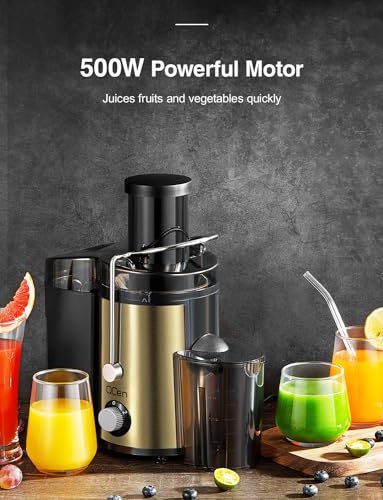 Juicer Machine, 800W Centrifugal Juicer Extractor with Wide Mouth 3” Feed Chute for Fruit Vegetable, Easy to Clean, Stainless Steel, BPA-free (Gold)