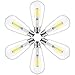 ST58 Vintage LED Edison Light Bulbs 60W Equivalent, 4000K Daylight White, Dimmable LED Filament Bulbs 6W E26 Base Lamp for Home, Restaurant, Reading Room
