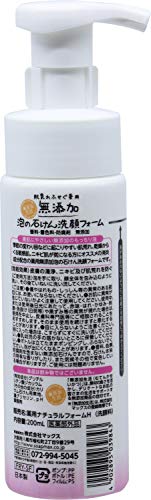 最安値 マックス 肌荒れ防ぐ薬用無添加泡洗顔フォーム 0ml 9843 の価格比較