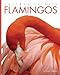 Amazing Animals: Flamingos