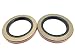 (Pack of 2) WPS Trailer Axle Hub Wheel Grease Seal 10-36 (22333TB) 5200-7000# E-Z Lube 2.250'' X 3.376''