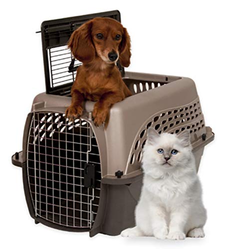 Petmate Two-Door Small Dog Kennel & Cat Kennel (Top Loading or Front Loading Pet Carrier, Great for Small Animals, Made… - Image 3