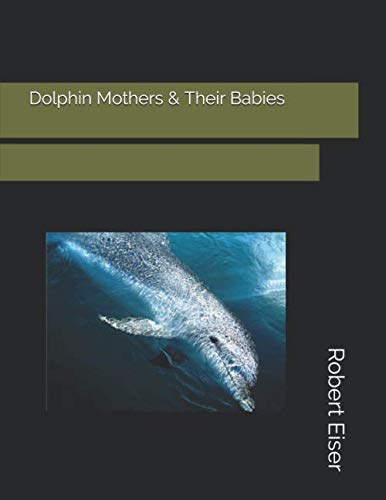 Dolphin Mothers & Their Babies