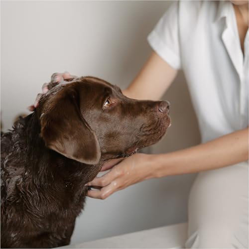 LILA LOVES IT Shampoo Sensitive für Hunde – Hundeshampoo mit Aloe Vera, Mandelöl, Ringelblume und Kamille, spendet Feuchtigkeit, wirkt beruhigend und rückfettend, 250 ml