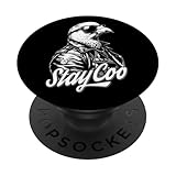 Photo Gallery stay cool pigeon funny pigeons coo colomba bird lover popsockets popgrip intercambiabile Photo Gallery stay cool pigeon funny pigeons coo colomba bird lover popsockets popgrip intercambiabile