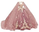 TRHTX Princess Velvet Quinceanera Dresses with Cape Sparkly Gold Butterfly Appliques Sweet 16 Dresses Lace Ball Gown Size 6,Dusty Rose