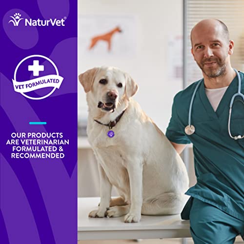 Evolutions By Naturvet Probiotic & Superfoods 90Ct Soft Chews For Dogs - Prebiotic & Probiotic Blend, Digestive Enzymes, Bone Broth, Omega's - Nourishes Natural Gut Bacteria And Intestinal Microflora #TOP3