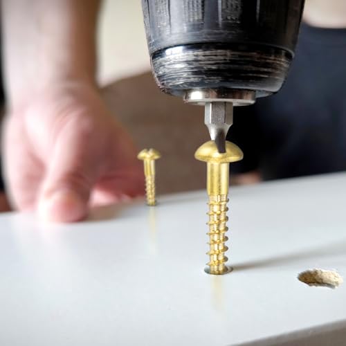M METERXITY Tornillos para madera (M2.5 x 12mm, Latón) 60 piezas - Tornillo autorroscante cabeza redonda ranurada aplicable a carpintería/reparación de muebles/aparatos industria/jardinería miniatura 4