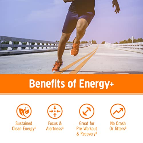 Om Mushroom Superfood Energy Plus Mushroom Powder Drink Mix, Citrus Orange, 7.05 Ounce, 32 Servings, Mushroom Blend, Cordyceps, Yerba Mate, Tumeric, Vitamin B Complex, Pre-Workout, Immune Supplement #TOP2