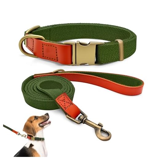 Ensemble Collier et Laisse pour Chien M, Nylon Robuste avec Détails en Cuir, Collier Réglable pour Chiens Moyens, Idéal pour Promenade Quotidienne et Éducation, Boucle Métal Vintage, Vert Militaire