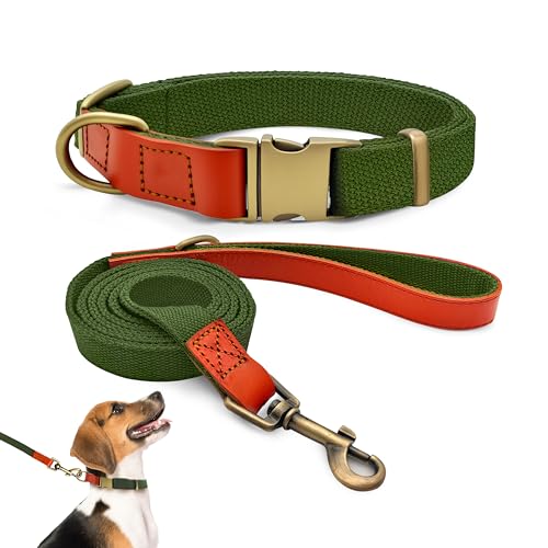 Qianruida Collare e Guinzaglio Cane Taglia Piccola e Media Collari Resistente per Cani in Nylon, per Corsa Passeggiate Formazione, Verde Militare, M