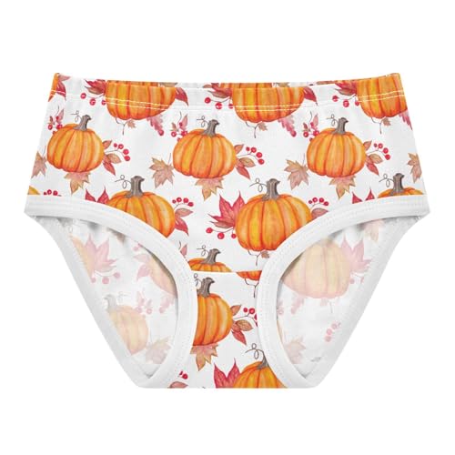 Joisal Watercolor Pumpkins Girls Underwear Toddlers 2t Cotton Girl Panties Cute Fun Underpants Briefs
