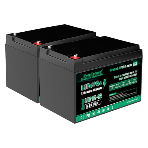 EverExceed 12V 12Ah LiFePO4 Lithium Battery Built-in 15A BMS 12V Lithium Battery for Power Wheels Fish Finder Small UPS RV Lawn Mower Burglar Alarm System Solar Panel Emergency Lighting