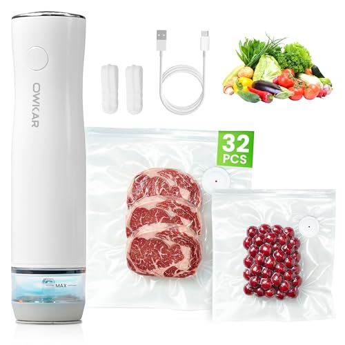 Portable Food Vacuum Sealer with Reusable Bags