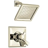 Delta Faucet Dryden 17 Series Dual-Function Shower Trim Kit with Single-Spray Touch-Clean Shower Head, Polished Nickel, 2.0 GPM Water Flow, T17251-PN-WE (Valve Not Included)