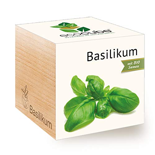 Feel Green Ecocube Basilikum, Bio Zertifiziert, Nachhaltige Geschenkidee (100% Eco Friendly), Grow...