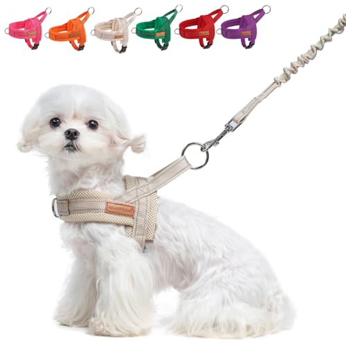 BEAUTYZOO Dog Harness for Small Dogs No Pull Dog Harness and Leash Set Soft Escape Proof Puppy Vest Harness with Handle Reflective Lightweight Step in Harness for Girl Boy Dogs Beige XS
