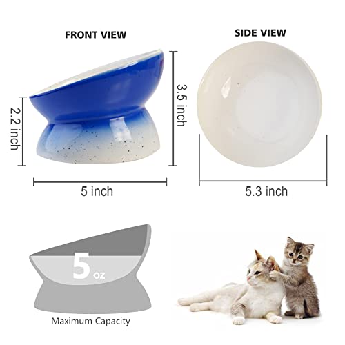 Elevated Cat Bowls Whisker Fatigue,Tilted Raised Cat Food Bowls,Ceramic Cat Bowl Whisker Friendly For Flat Faced Cats And Small Dogs,Anti-Vomiting And Reduce Neck Burden,Dishwasher And Microwave Safe #TOP1