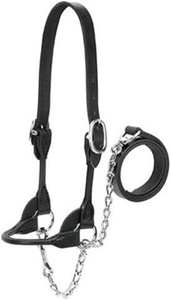 Weaver Leather Dairy and Beef Round Show Halter