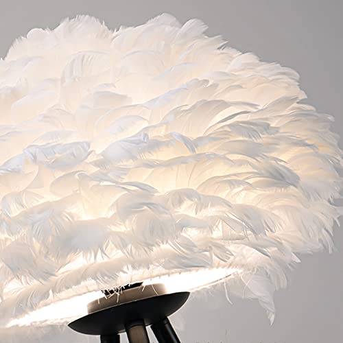 Lámpara de pie de pluma elegante para iluminar tu rincón de lectura en el salón 4