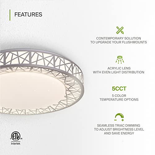 Asd 16 Inch Led Flush Mount Ceiling Light Fixture - Modern Nickel Close To Ceiling Light Fixtures 28W 1576Lm, 2700-5000K Adjustable Dimmable Low Profile Lights For Kitchen, Bedroom, Hallway, Etl #TOP2