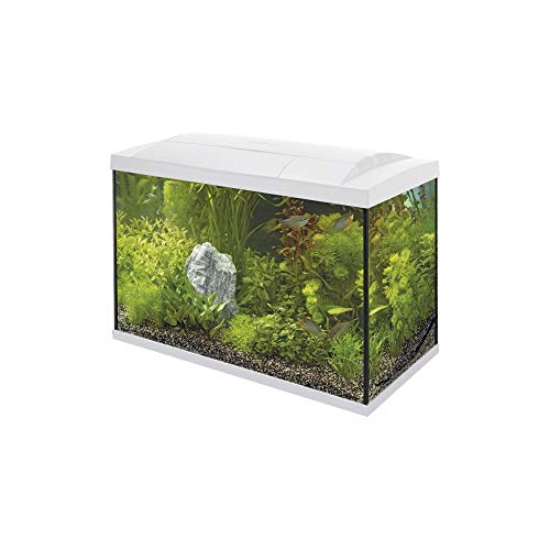 Superfish 545255/2154 SuperFish Home 8 mini-aquarium in zwart