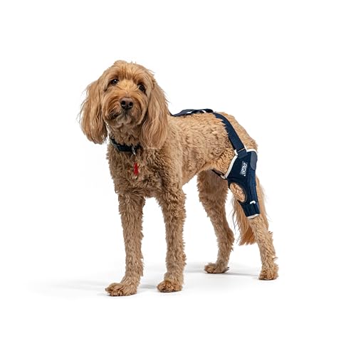 Balto Jump Dog Knee Brace