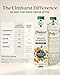 Elmhurst 1925 Unsweetened Almond Milk - 32 Ounce (Pack of 6) Dairy-Free, Vegan, Kosher, No Added Sugar, Shelf Stable Milk Made with Water & Almonds for Healthier, Simpler Plant-Based Alternatives