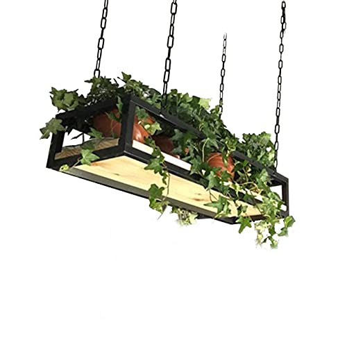 Support de pot de fleurs suspendu pour protéger vos plantes des animaux et gagner de la place