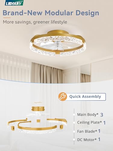 Image of LEDIARY 20 inch Low Profile Ceiling Fans with Lights, APP & Remote, Gold