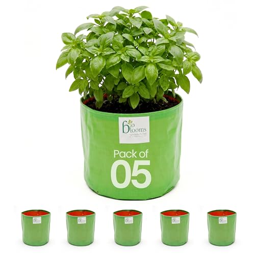 Bio Blooms Round HDPE Grow Bag for Terrace & Kitchen Gardening | Pack of 5 | 15x12 | 200 GSM Heavy Duty Outdoor Planter for Vegetables, Flowers & Plants (Green & Orange)