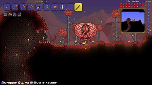 Amazon Com Spike Chunsoft Terraria Nintendo Switch Region Free Japanese Version Videojuegos Amazon Com Spike Chunsoft Terraria Nintendo Switch Region Free Japanese Version Videojuegos